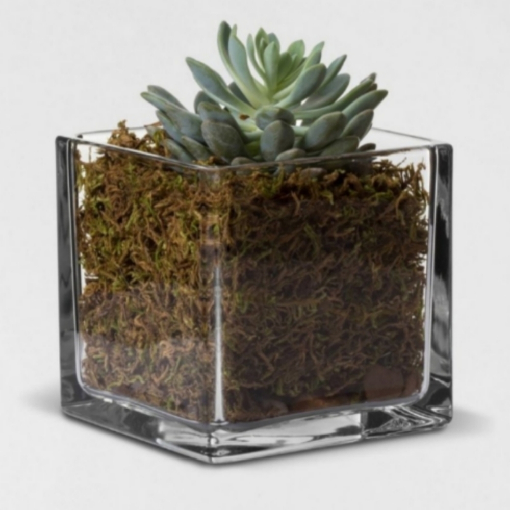 Square Glass Cube Little Vase Planter Tealight Votive Candle Holder Organizer
